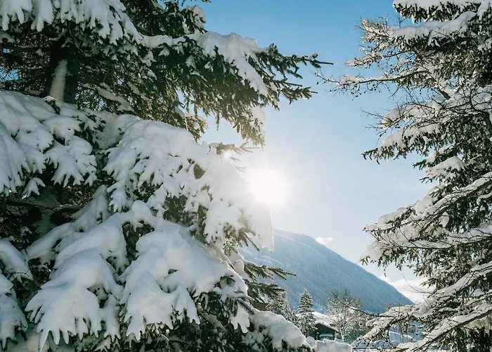 Burgstall Neustift im Stubaital