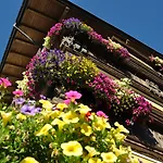 Burgstall 4* Neustift im Stubaital